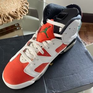 Retro Jordan Gatorade 6s